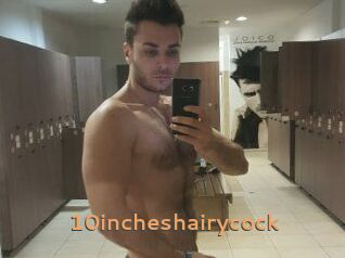 10incheshairycock