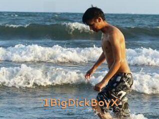 1BigDickBoyX