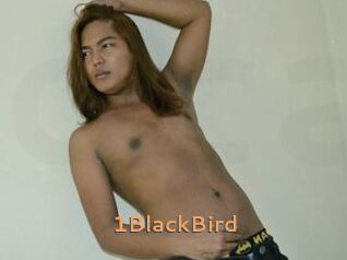 1BlackBird