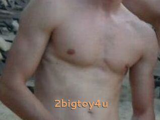 2bigtoy4u