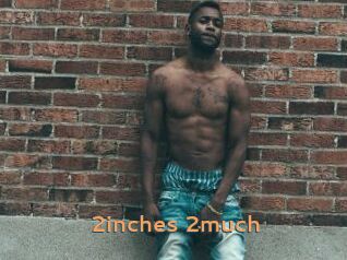 2inches_2much