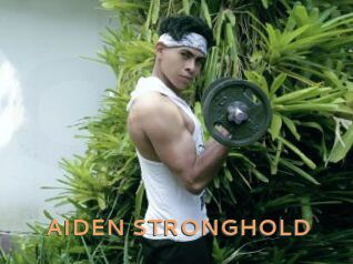 AIDEN_STRONGHOLD
