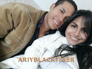 ARIYBLACKTIGER