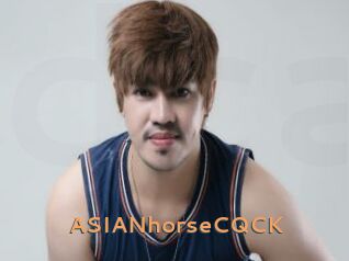 ASIANhorseCQCK