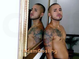 AdamGosling