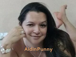 AidinPunny