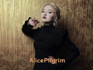 AlicePilgrim Du Cul A Gogo