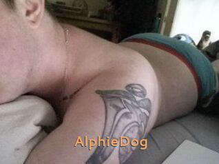 Alphie_Dog