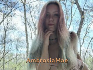 AmbrosiaMae