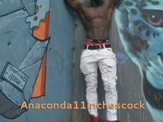 Anaconda11inchescock