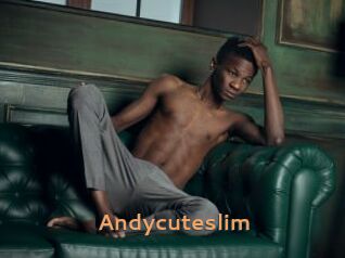 Andycuteslim