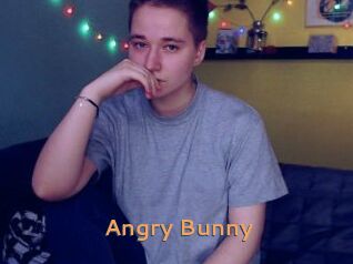 Angry_Bunny