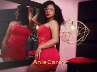 AnieCarey