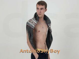 AntonioShyBoy