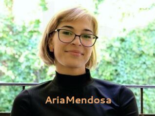 AriaMendosa