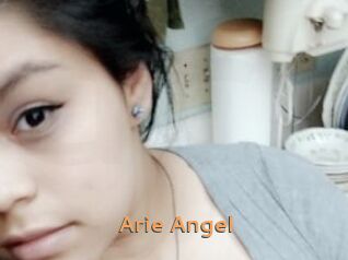 Arie_Angel