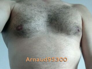 Arnaud95300