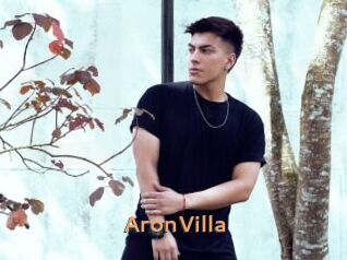 AronVilla