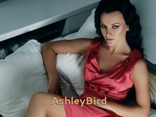 AshleyBird Du Cul A Gogo