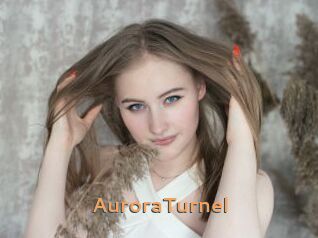 AuroraTurnel