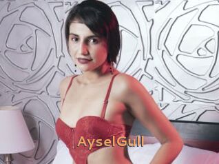 AyselGull
