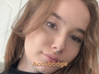 Accabodge
