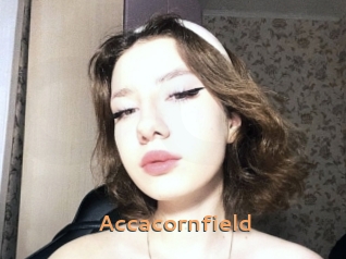 Accacornfield