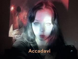 Accadavi