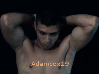 Adamcox19