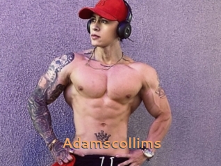 Adamscollims