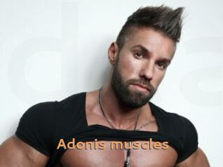 Adonis_muscles