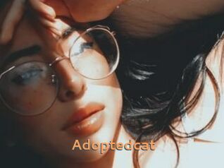Adoptedcat