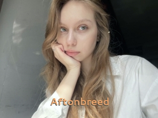 Aftonbreed