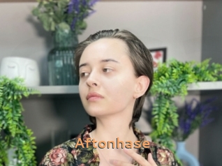 Aftonhase