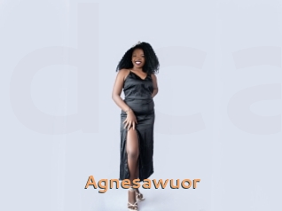 Agnesawuor