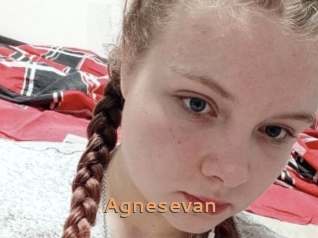 Agnesevan