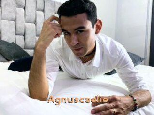 Agnuscaelie