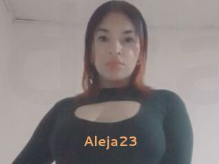 Aleja23