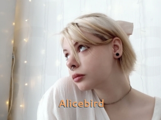 Alicebird
