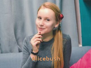 Alicebush