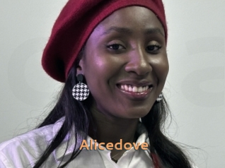 Alicedove