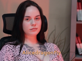 Alicedragonfly