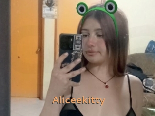 Aliceekitty