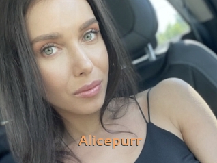 Alicepurr