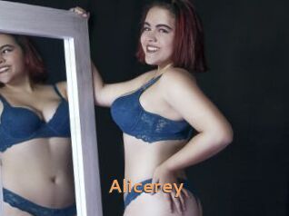 Alicerey