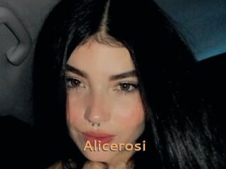 Alicerosi