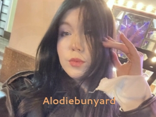 Alodiebunyard