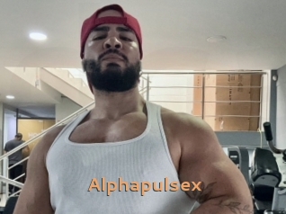 alphapulsex Du Cul A Gogo