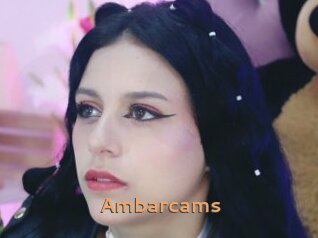 Ambarcams