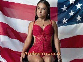 Amberroosse